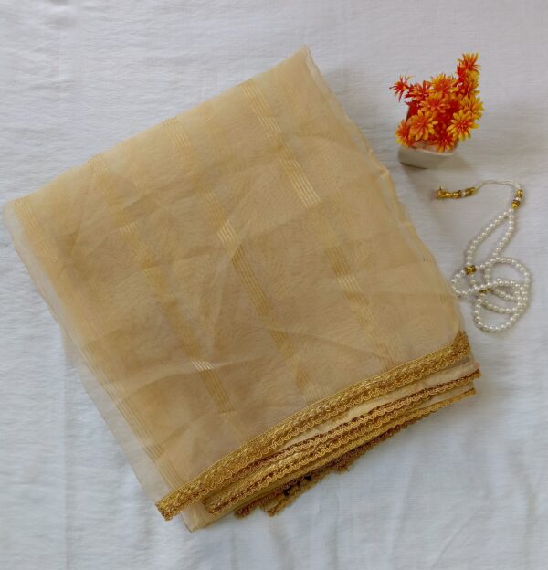 Golden Glimmer Organza Dupatta