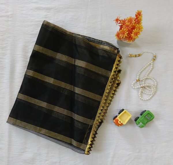 Midnight Elegance Organza Dupatta