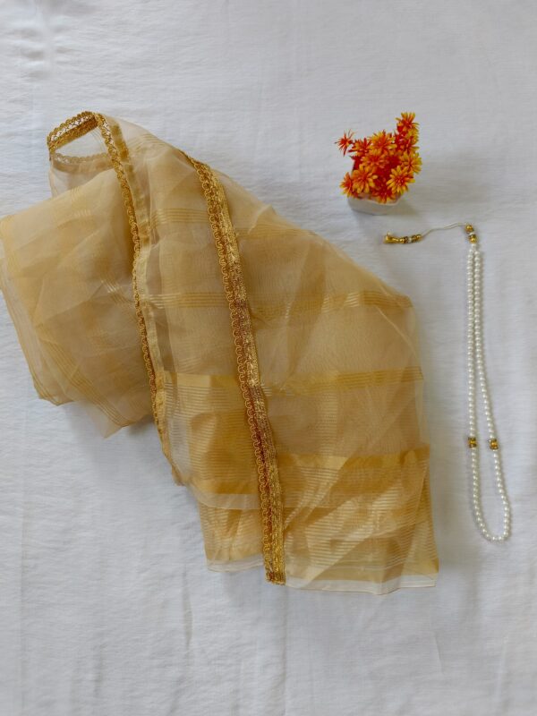 Golden Glimmer Organza Dupatta - Image 3